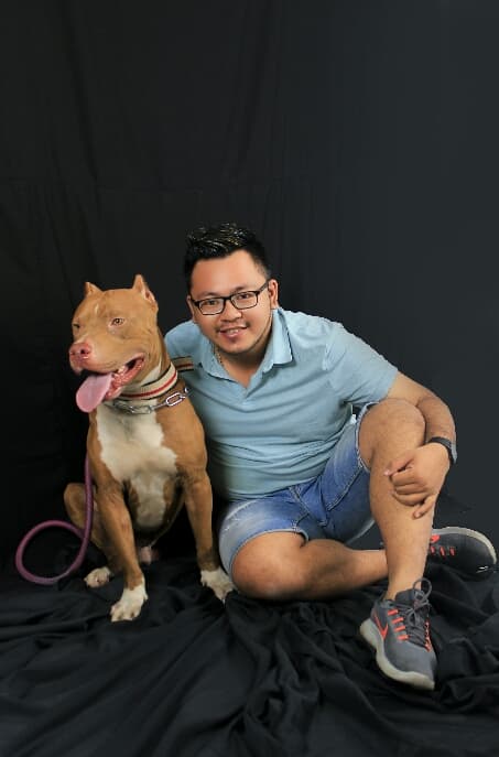 mencegah_kasus_serangan_anjing_pemilik_berperan_membentuk_emosi_pitbull