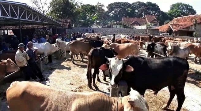 mendagri_meminta_daerah_waspada_terhadap_peningkatan_inflasi_sebelum_iduladha