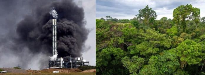 mengenal_negara_paru_paru_dunia_dan_biang_kerok_emisi_karbon