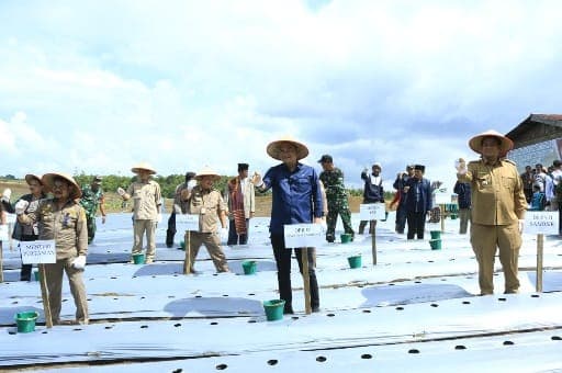 menteri_pertanian_menanam_kentang_diduga_di_lahan_bermasalah