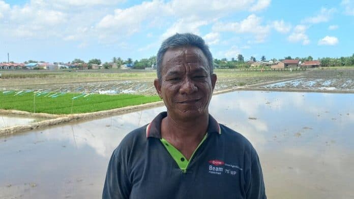 menuju_swasembada_pangan_petani_perlu_penerapan_teknologi
