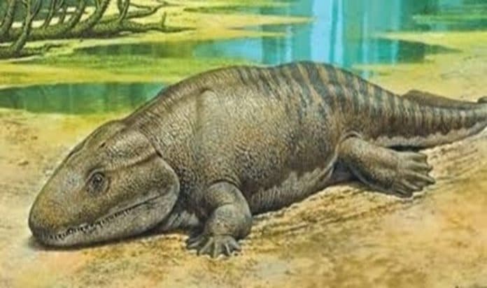 menyerupai_buaya_nenek_moyang_amfibi_purba_memiliki_ekor