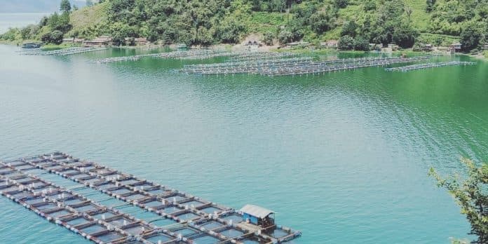 menyiasati_keberadaan_kja_danau_toba_membangun_zona_wisata_keramba_tanpa_limbah_mungkinkah