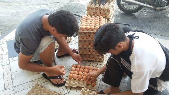 meski_dilarang_telur_infertil_banyak_diperjualbelikan