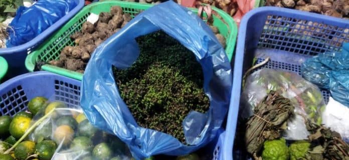 meski_harga_melambung_tinggi_pembeli_andaliman_di_toba_selalu_stabil