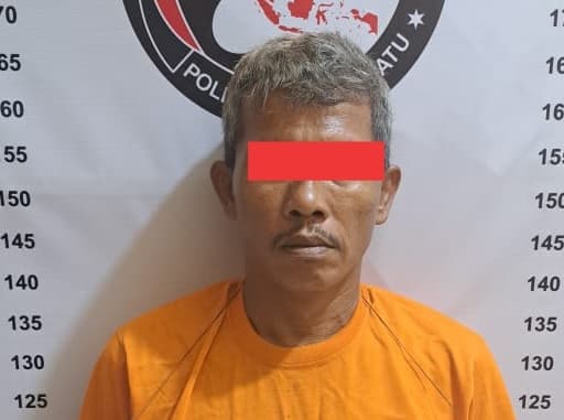 miliki_ganja_sopir_asal_siantar_ditangkap_satreskrim_polres_labuhanbatu