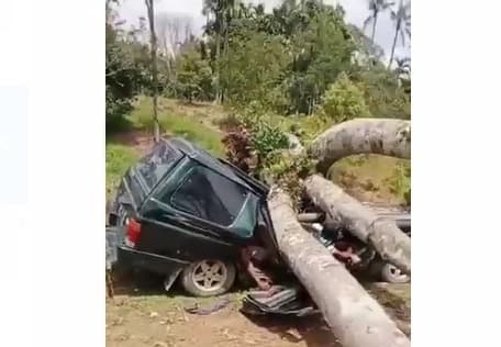 mobil_tertimpa_pohon_durian_di_langkat_3_penumpang_tewas