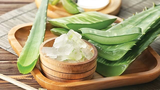 moisturizer_alami_dari_alam_ampuh_melembabkan_kulit