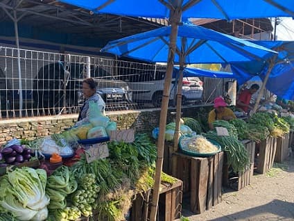 musim_panas_picu_kenaikan_harga_sayur_di_deli_serdang