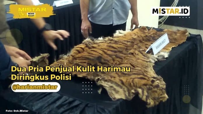newsroom_dua_pria_penjual_kulit_harimau_diringkus_polisi
