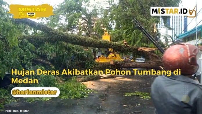 newsroom_hujan_deras_akibatkan_pohon_tumbang_di_medan