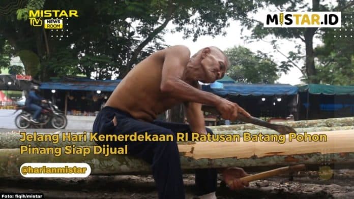 newsroom_jelang_hari_kemerdekaan_ri_ratusan_batang_pohon_pinang_siap_dijual