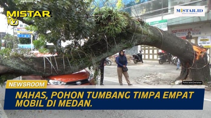 newsroom_nahas_pohon_tumbang_timpa_empat_mobil_di_medan