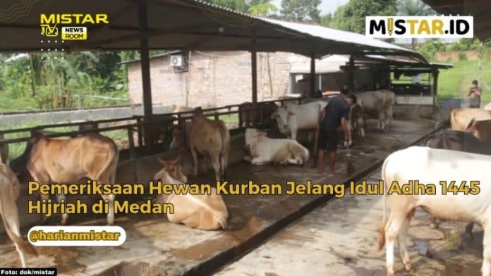 newsroom_pemeriksaan_hewan_kurban_jelang_idul_adha_1445_hijriah_di_medan