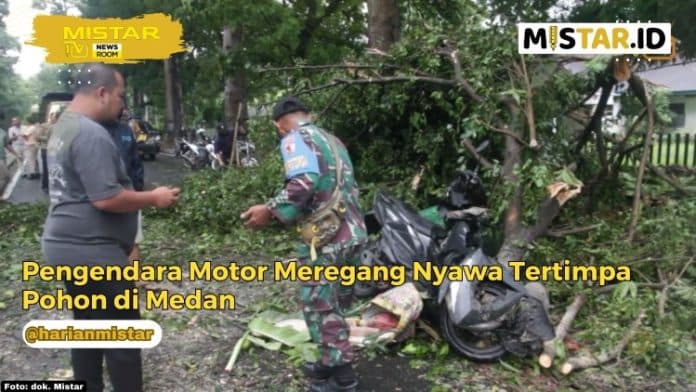 newsroom_pengendara_motor_meregang_nyawa_tertimpa_pohon_di_medan