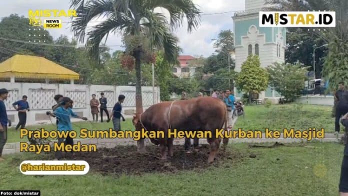newsroom_prabowo_sumbangkan_hewan_kurban_ke_masjid_raya_medan
