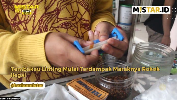 newsroom_tembakau_linting_mulai_terdampak_maraknya_rokok_ilegal