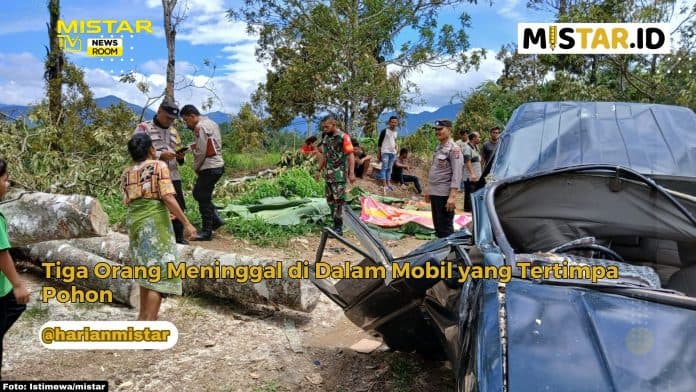 newsroom_tiga_orang_meninggal_di_dalam_mobil_yang_tertimpa_pohon