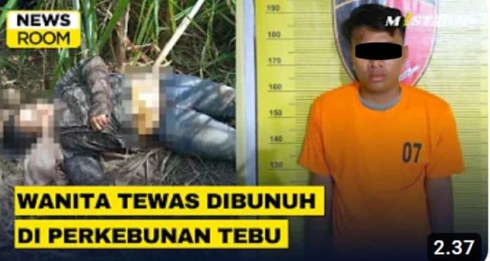 newsroom_wanita_tewas_dibunuh_di_perkebunan_tebu_hamparan_perak
