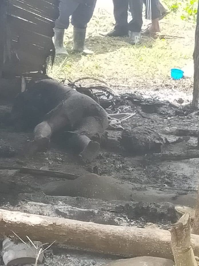 ngasil_tarigan_tewas_di_gubuk_kepala_berdarah_dan_tangan_terpotong