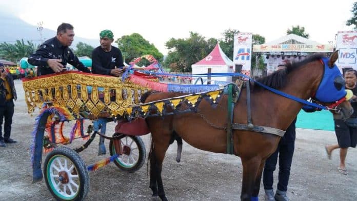ngata_topodoka_festival_2023_bantu_pertahankan_eksistensi_dokar