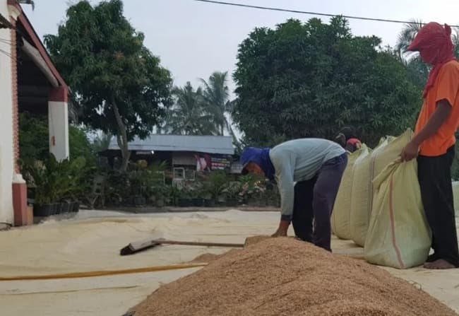nilai_tukar_petani_di_april_2021_naik_089_persen
