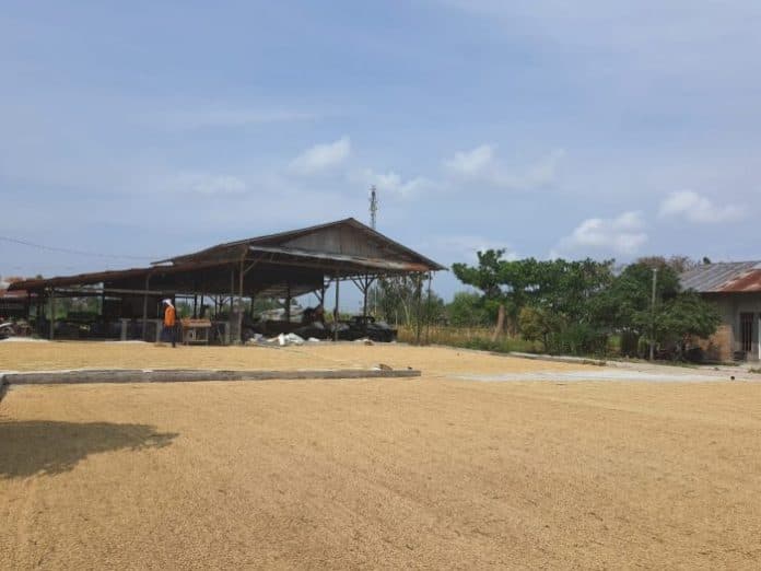 ntp_di_sumut_naik_206_persen_pada_november_2021