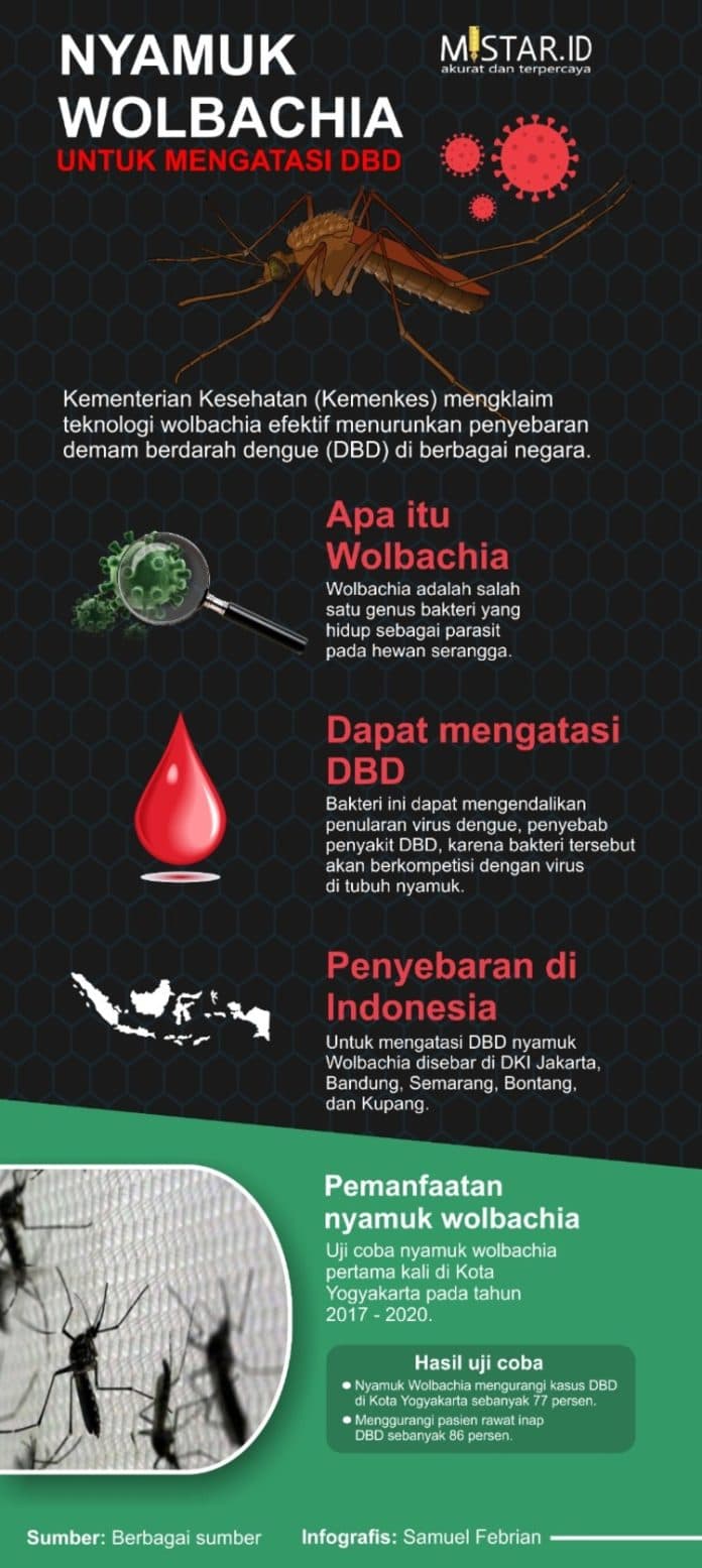 nyamuk_wolbachia_diklaim_efektif_turunkan_penyebaran_dbd