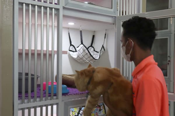 omset_penitipan_hewan_meningkat_jelang_lebaran_2024