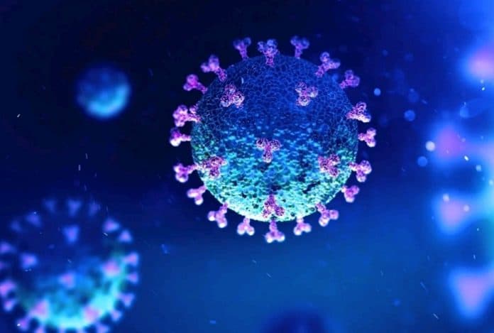 pakar_idi_virus_corona_bisa_mati_sendiri_tapi_imun_jadi_taruhannya
