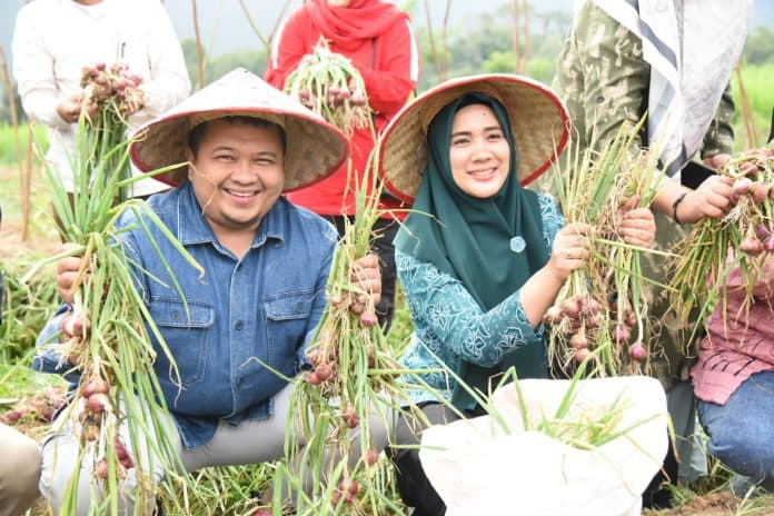 panen_bawang_di_desa_sarogodung_bupati_tapsel_ajak_warga_manfaatkan_lahan