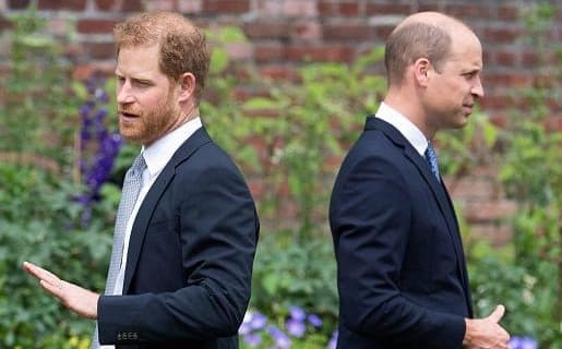 pangeran_william_gantikan_adiknya_jadi_panglima_kolonel