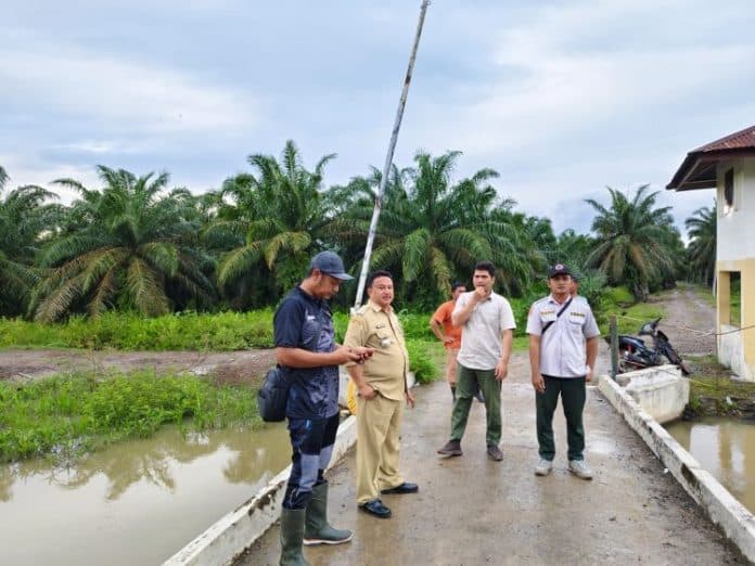 pasca_kemunculan_buaya_bksda_dan_bpbd_ke_parit_minyak