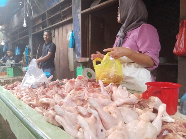 pasca_nataru_harga_daging_ayam_di_pematangsiantar_masih_tinggi