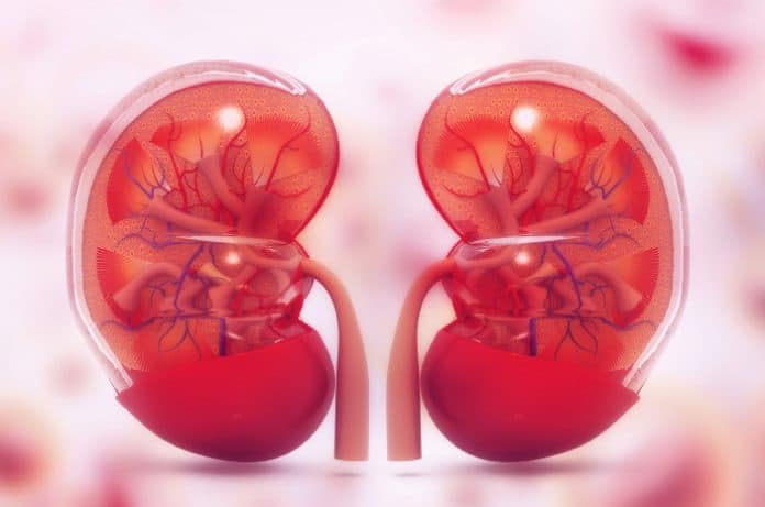 pasien_gagal_ginjal_rentan_komplikasi_anemia