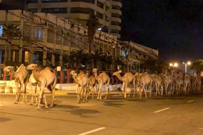 pasokan_air_ke_tripoli_diputus_di_tengah_wabah_corona