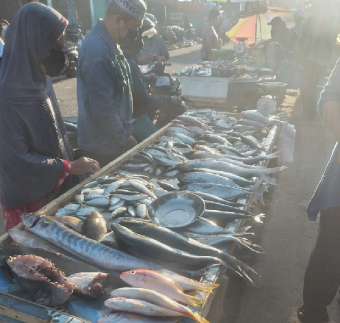 pasokan_berkurang_harga_ikan_laut_di_deli_serdang_naik_tajam
