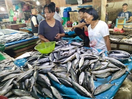 pasokan_ikan_melimpah_di_siantar_harga_jadi_anjlok