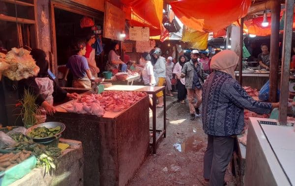 pasokan_lancar_harga_daging_ayam_di_pematangsiantar_dijual_rp26000kg