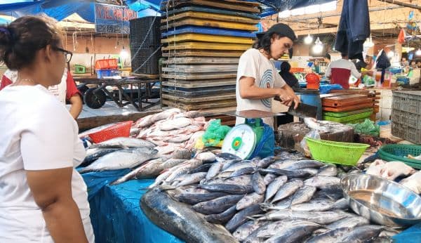pasokan_masih_belum_stabil_harga_ikan_di_pasar_dwikora_fluktuatif