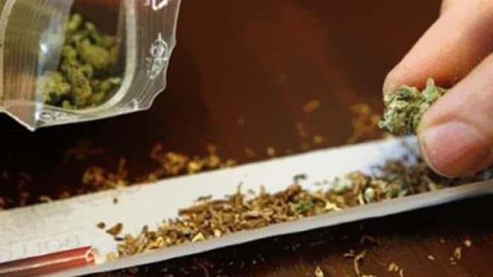 pelajar_simpan_puluhan_gram_ganja_diamankan_sabhara_polda_sumut
