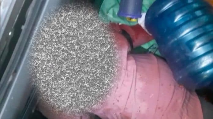 pelaku_pembunuhan_wanita_di_dalam_mobil_ditangkap_polrestabes_medan