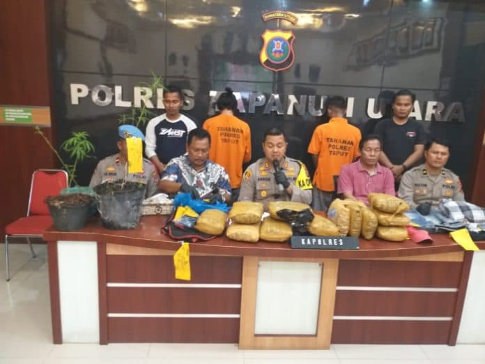 pelaku_pengiriman_ganja_melalui_bandara_silangit_dibekuk