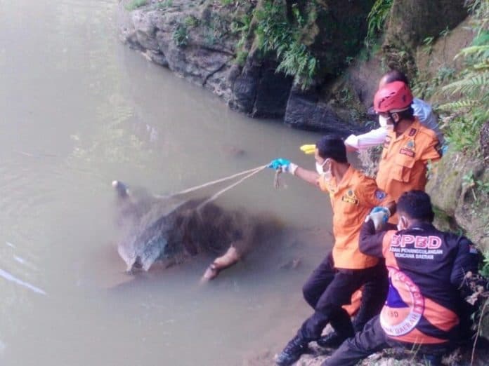 pemancing_temukan_mayat_pria_usia_40_tahun_di_balik_batu_sungai_umang