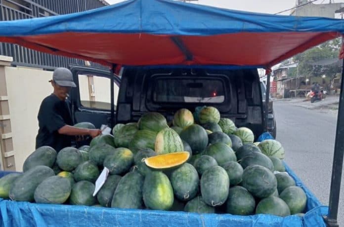 pembeli_semangka_meningkat_selama_ramadhan_sehari_bisa_laku_hampir_200_buah