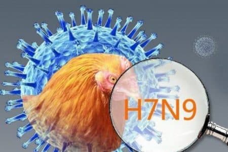 pemerintah_as_kucurkan_lagi_dana_untuk_kembangkan_vaksin_flu_burung