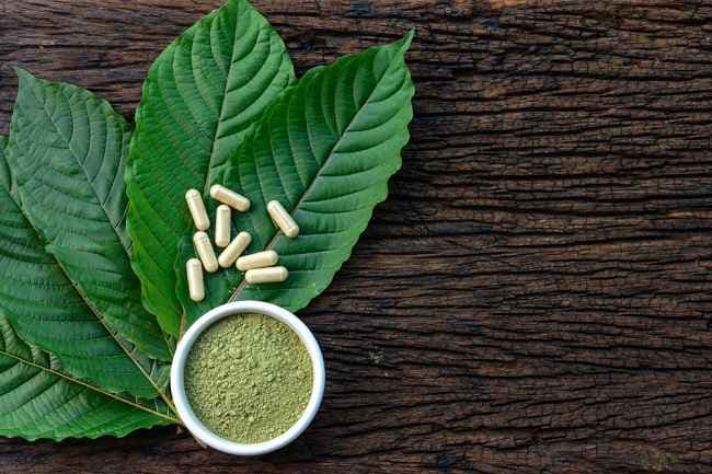 pemerintah_berencana_legalisasi_kratom_kenali_dulu_manfaat_dan_efek_sampingnya