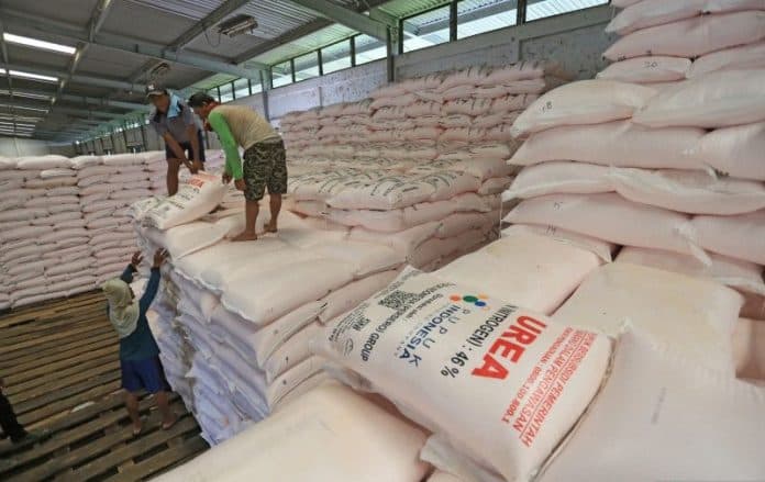 pemerintah_disarankan_benahi_tata_kelola_pupuk_subsidi