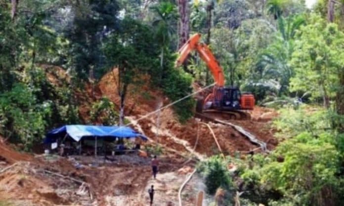 pemilik_tambang_emas_ilegal_madina_gagal_diserahkan_ke_jaksa_ini_alasannya
