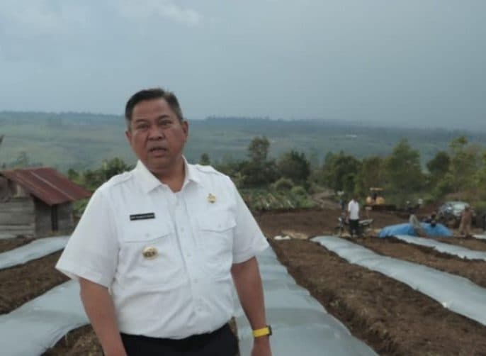 pemkab_dairi_siapkan_pencanangan_kawasan_pertanian_terpadu